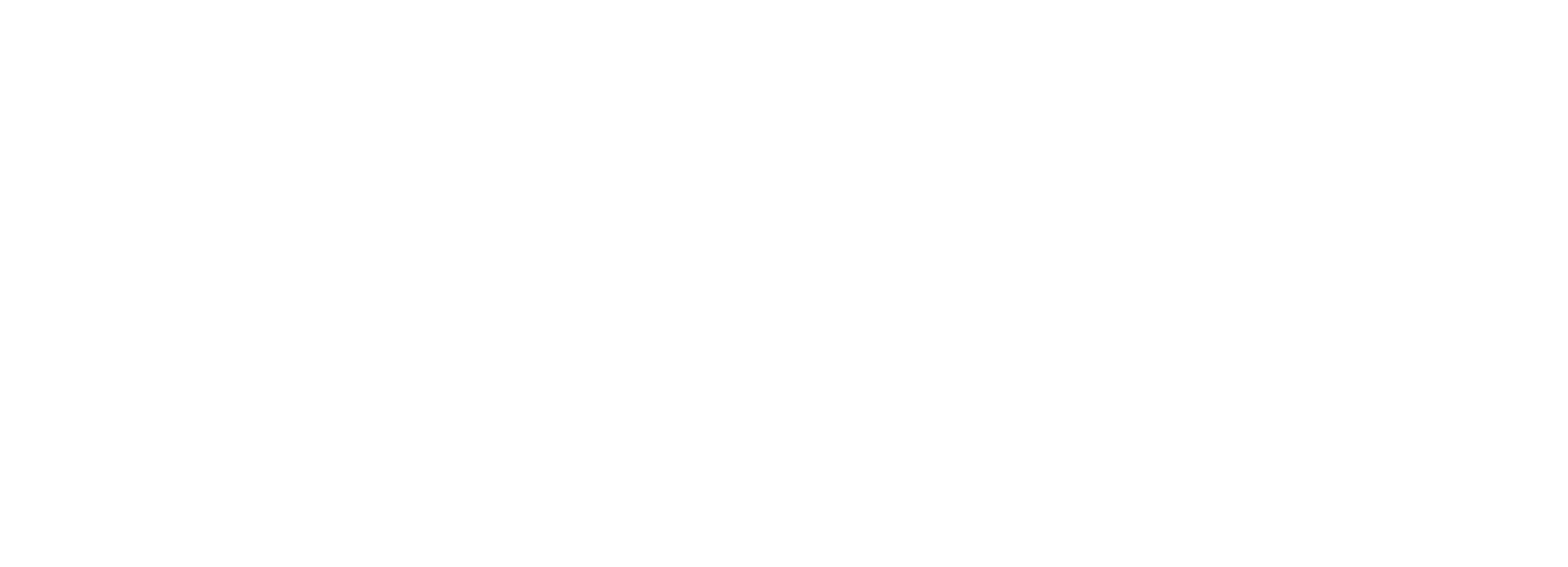 Logo Flyer On